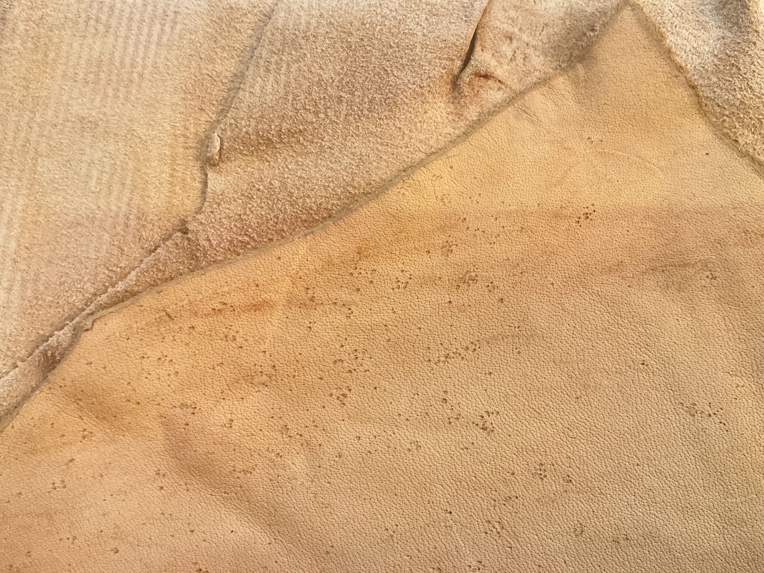 Hide Moose, Size: 15.70 sqft