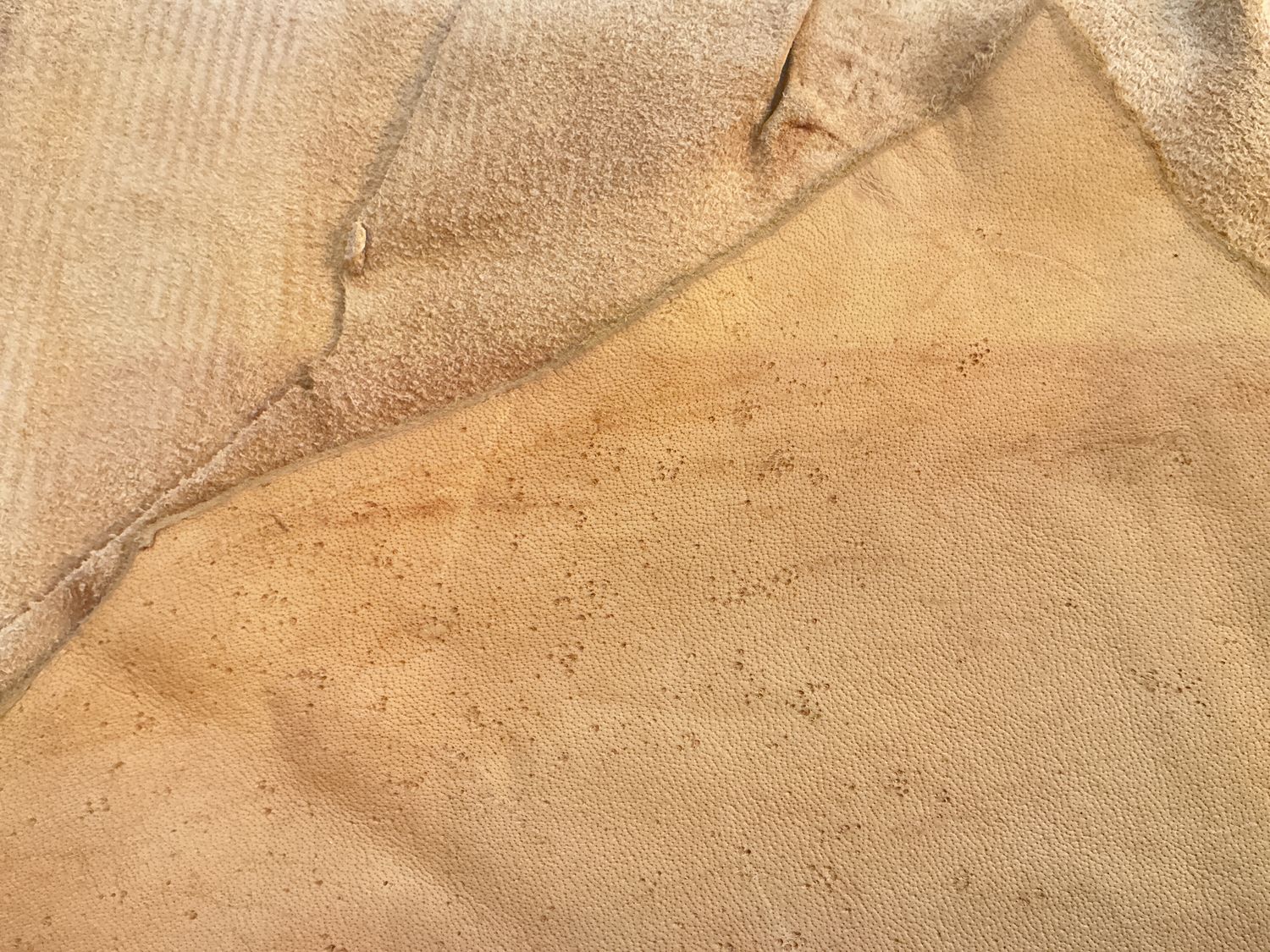 Hide Moose, Size: 15.70 sqft