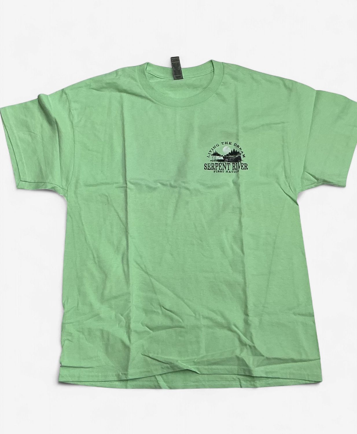 Living The Dream Graphic Tee, Color: Lime Green, Size: Large