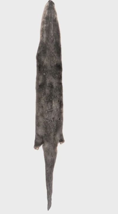 Large Otter Pelt