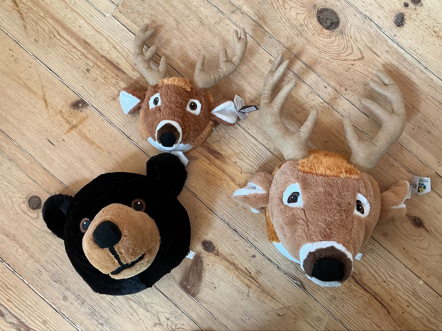 Hanging Stuffed Animal Head