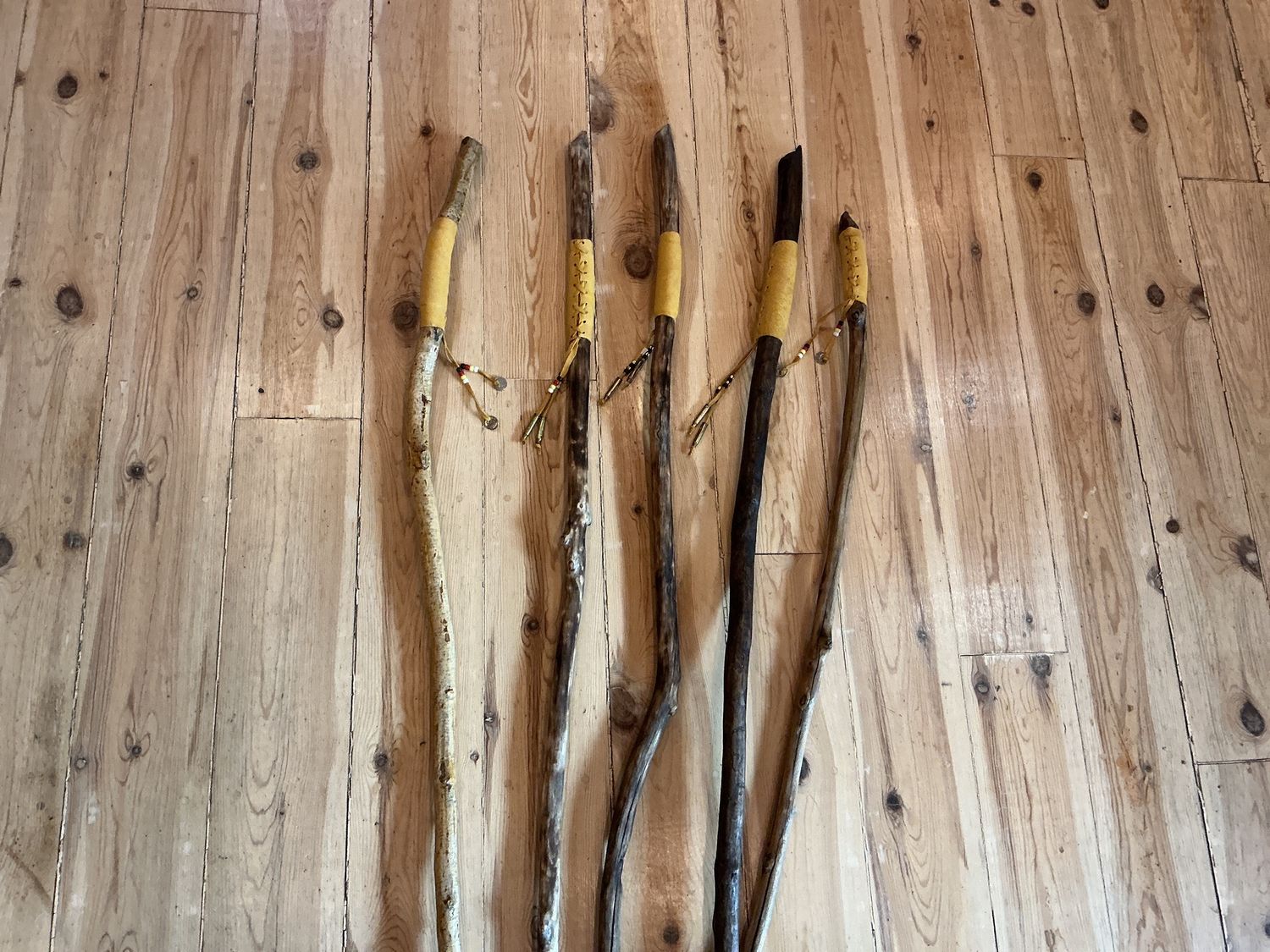 Walking Beaver Dam Stick