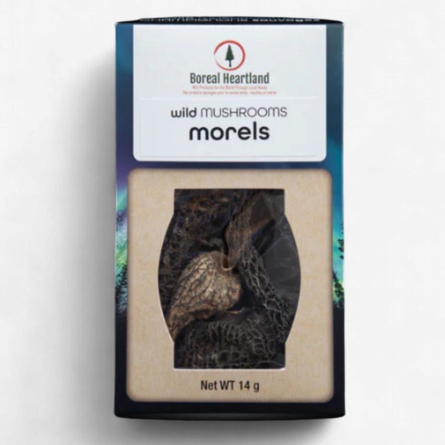 Wild Mushrooms Morels