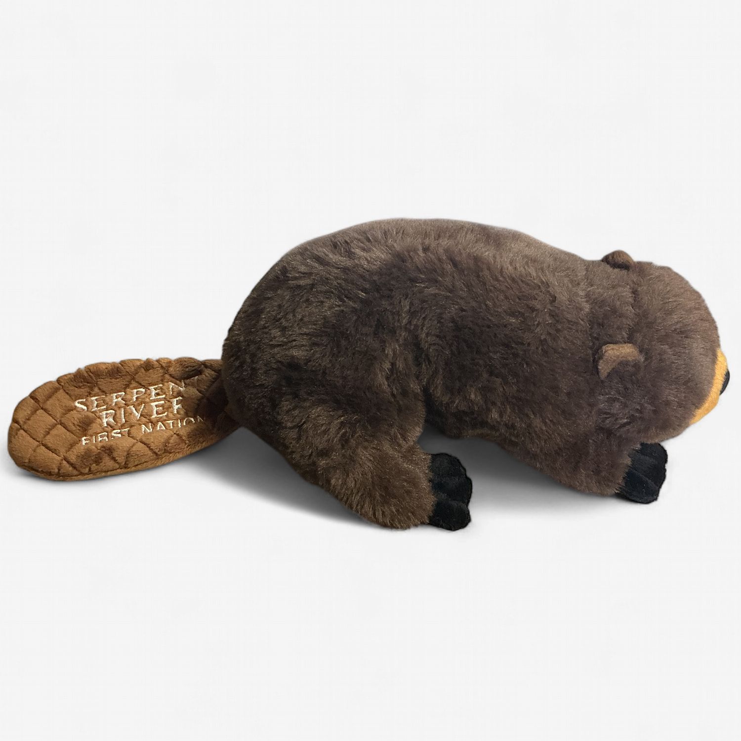 Serpent River First Nation Beaver