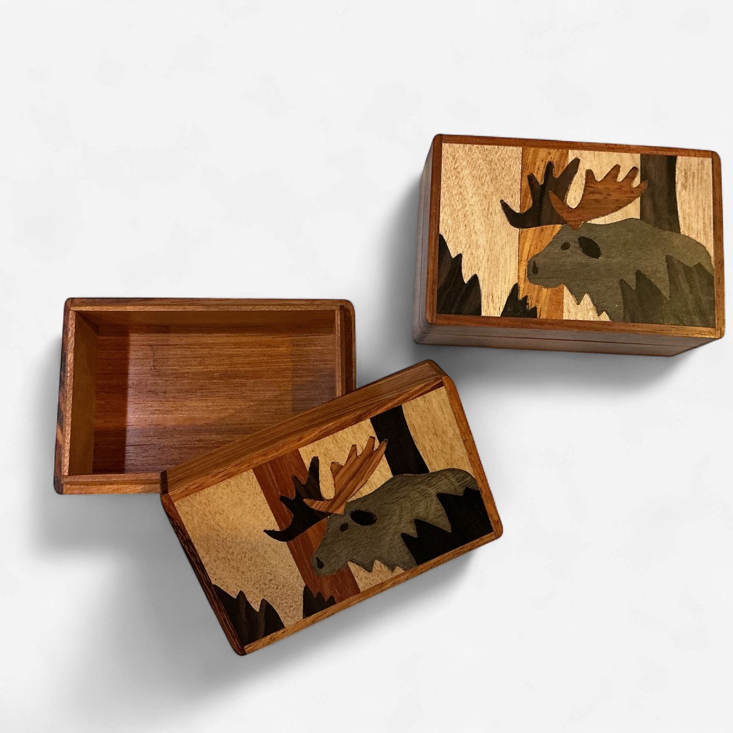 Wooden Box Moose