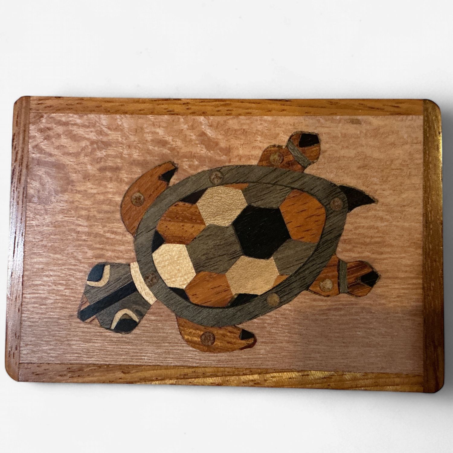 Wooden Box Turtle