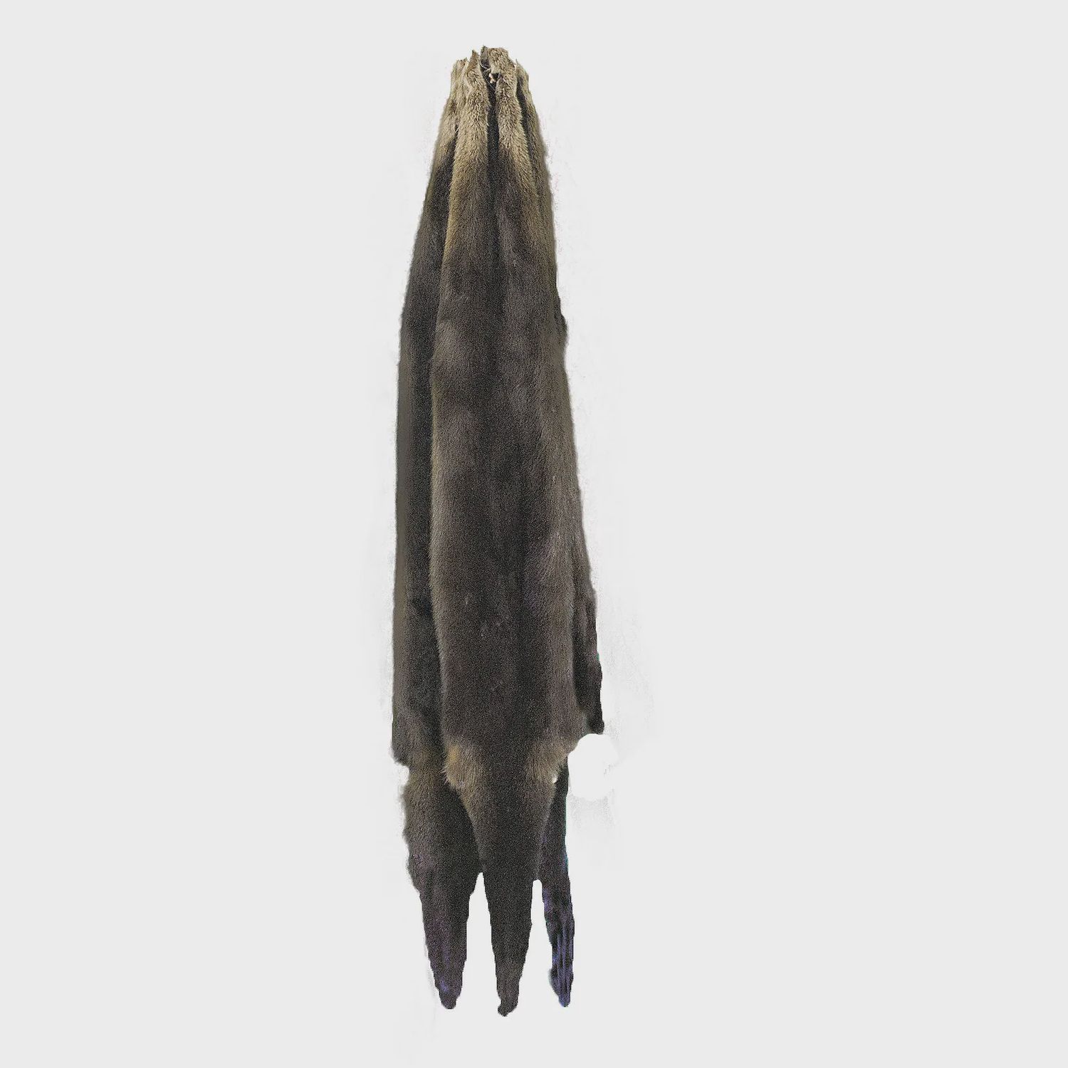 Otter Pelt