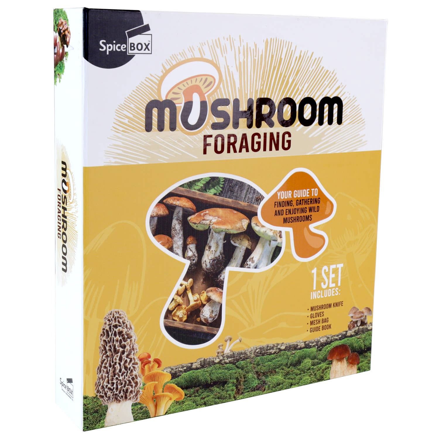Gift Box Mushroom Foraging Guidebook &amp; Complete Set