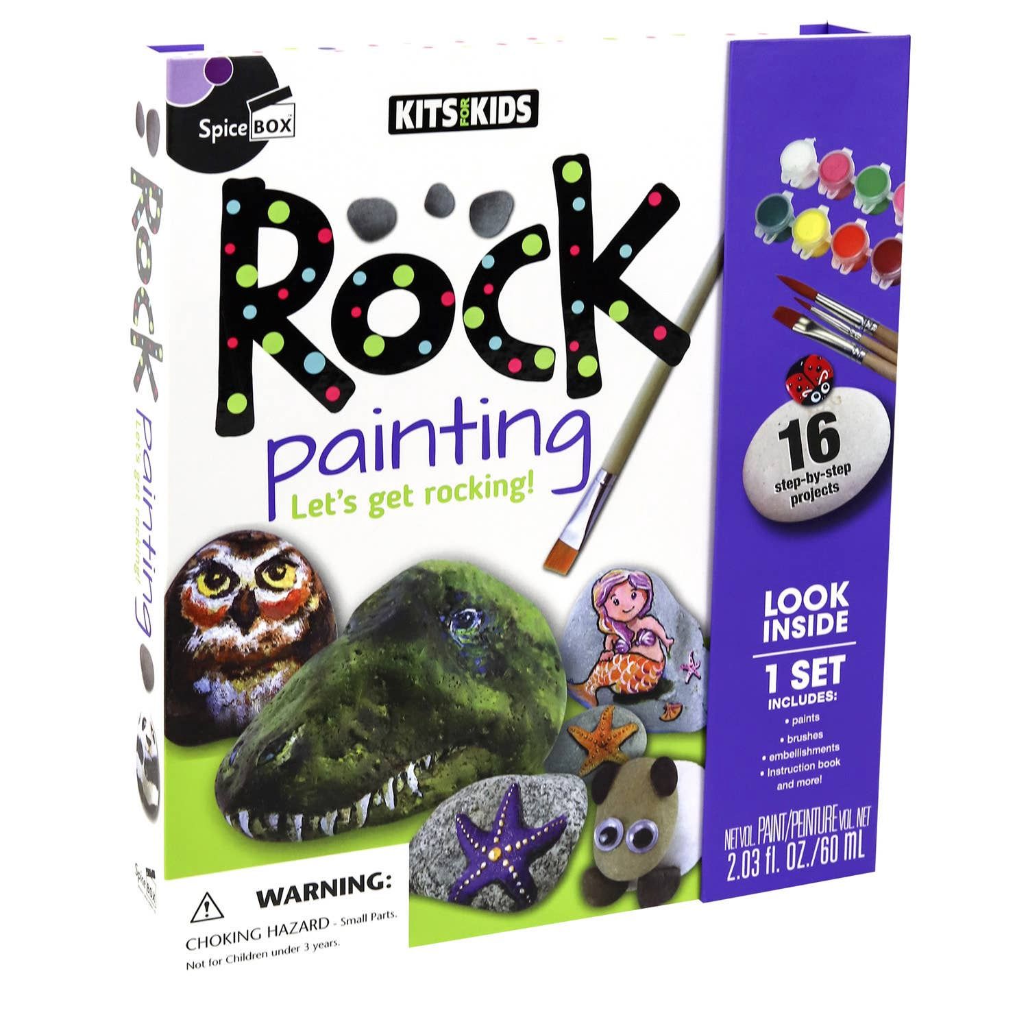 Kits for Kids Rock Painting Guidebook &amp; Complete Craft Set