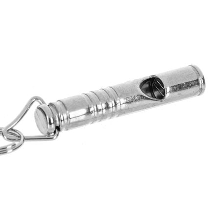 Lucky Little Whistle Charm