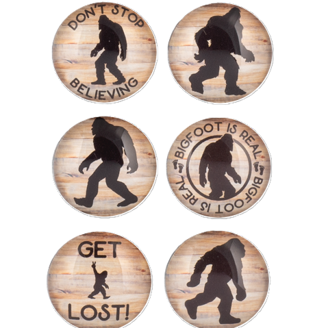 Assorted Bigfoot Magnets