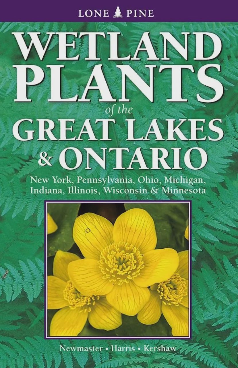 Wetland Plants of Ontario