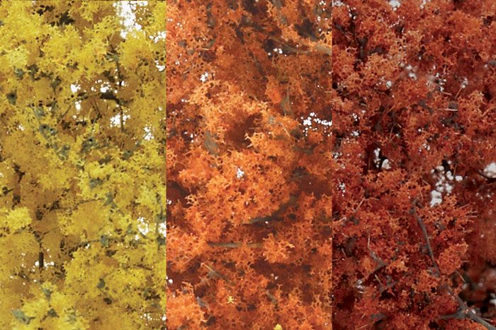 Woodland Fine Leaf Foliage Fall Mix