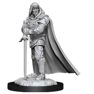 D&amp;D Nolzur&#39;s Marvelous Unpainted Miniatures: Wave 13: Human Paladin Male