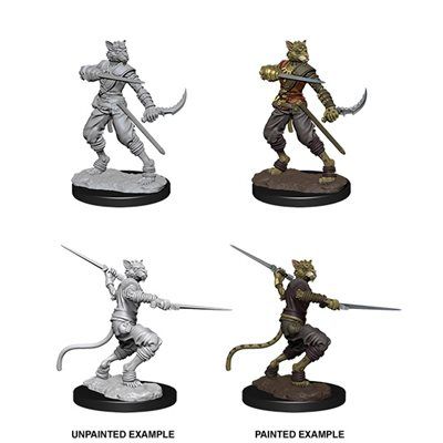 D&amp;D Nolzur&#39;s Marvelous Unpainted Miniatures: wave 7: Male Tabaxi Rogue