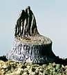 Woodland Scenics Cut Stumps 14pc