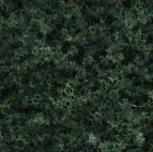 Woodland Scenics Foliage Dark Green