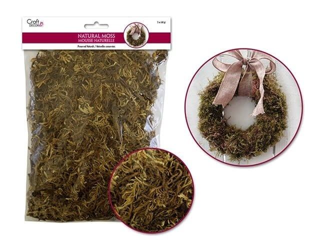 Craft Decor Natural Indian Moss