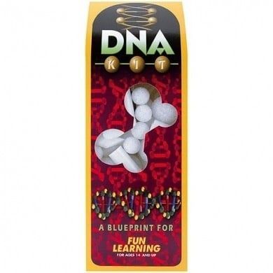 Floracraft BUILD YOUR OWN DNA MODEL KIT