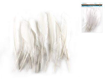 CraftMedley 8in Goose Feathers White 12pc