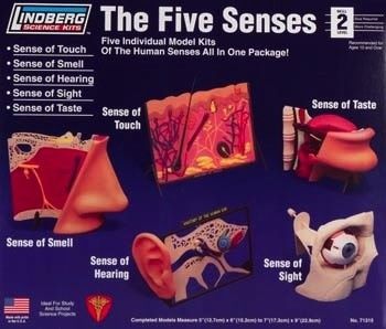 Lindberg TOUCH/SMELL/HEAR/SIGHT/TASTE