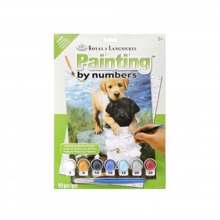 Royal &amp; Langnickel Paint By Numbers Fishin Buddies