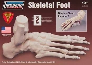 Lindberg SKELETAL FOOT