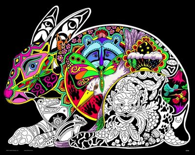 Stuff To Color 16X20 Velvet Poster Inner Nature Hare