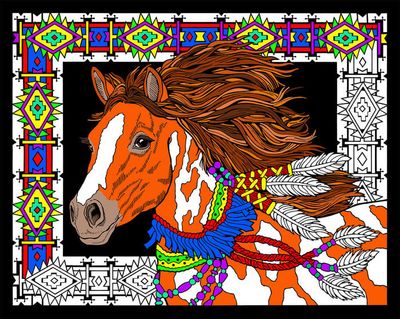 Stuff To Color 16 x 20 Velvet Desert Stallion