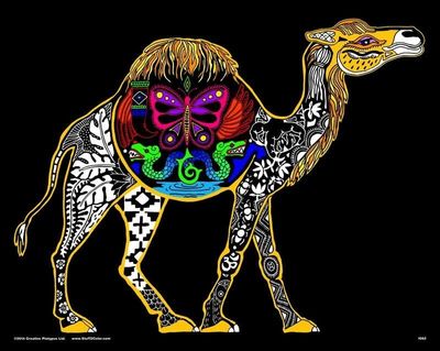 Stuff To Color 16X20 Velvet Poster Inner Nature Camel