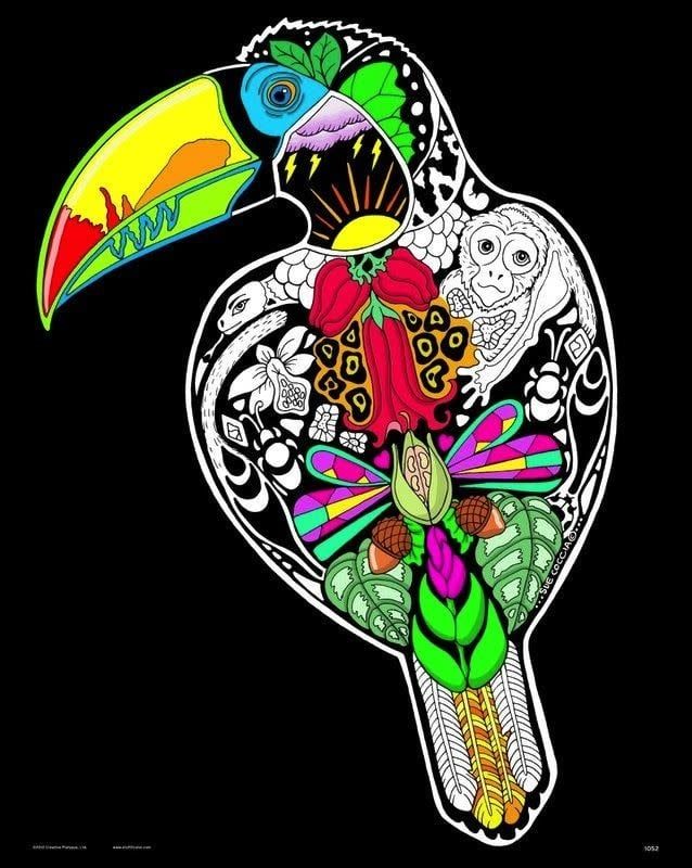 Stuff To Color 16X20 Velvet Poster Inner Nature Toucan