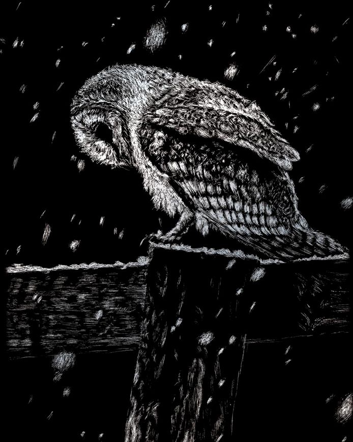 Royal &amp; Langnickel Silver Foil Engraving Art Kit 8x10in Snowfall At Night