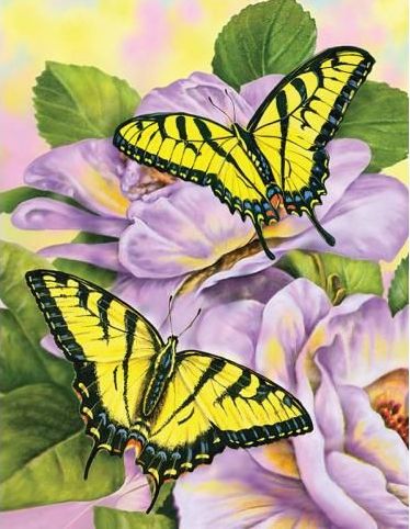 Royal &amp; Langnickel Paint by Number Junior Kit Swallowtail Butterfiles