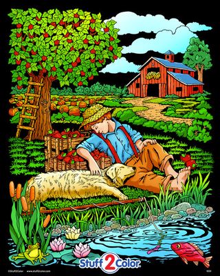 Stuff To Color 16x20 Velvet Fish 'n Boy