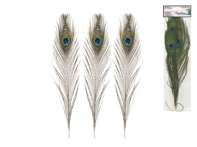 CraftMedley 10 to 14in Real Peacock Feathers 2pc