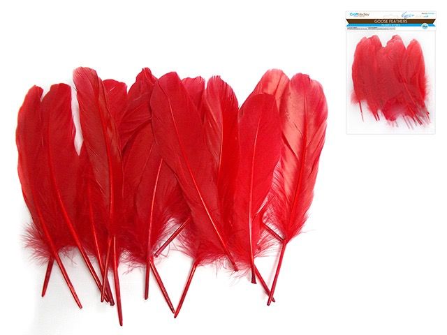 CraftMedley 8in Goose Feathers Red 12pc