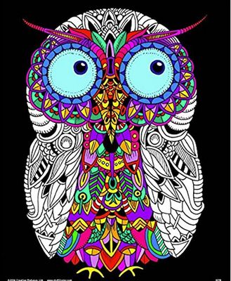 Stuff To Color 16 x 20 Velvet Baby Owl