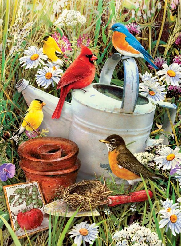 Royal &amp; Langnickel Garden Birds Paint by Number
