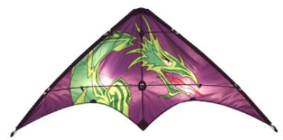 Skydogs Kites  LEARN TO FLY DRGN SPORT