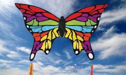 Skydogs Kites  Rainbow Butterfly Kite