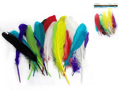 CraftMedley 8" Goose Feathers x12 Multi Mix