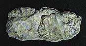Woodland Rock Mold Washed Rock