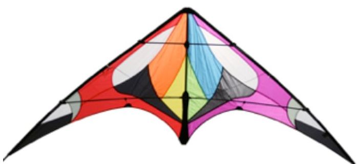 Skydogs Kites  Freebird Purple Kite