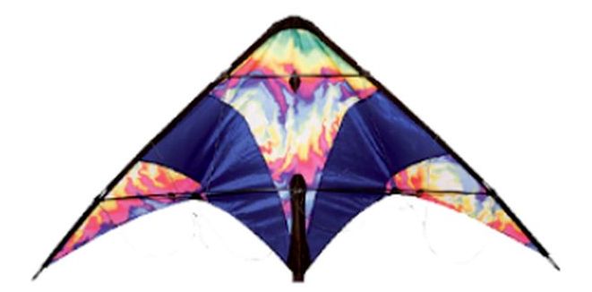 Skydogs Kites  Learn to Fly Tie-Dye Kite