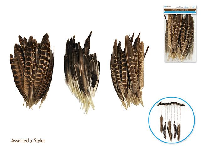 CraftMedley Natural Feathers