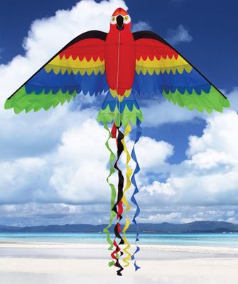 Skydogs Kites  Rainbow Parrot Kite, 66"
