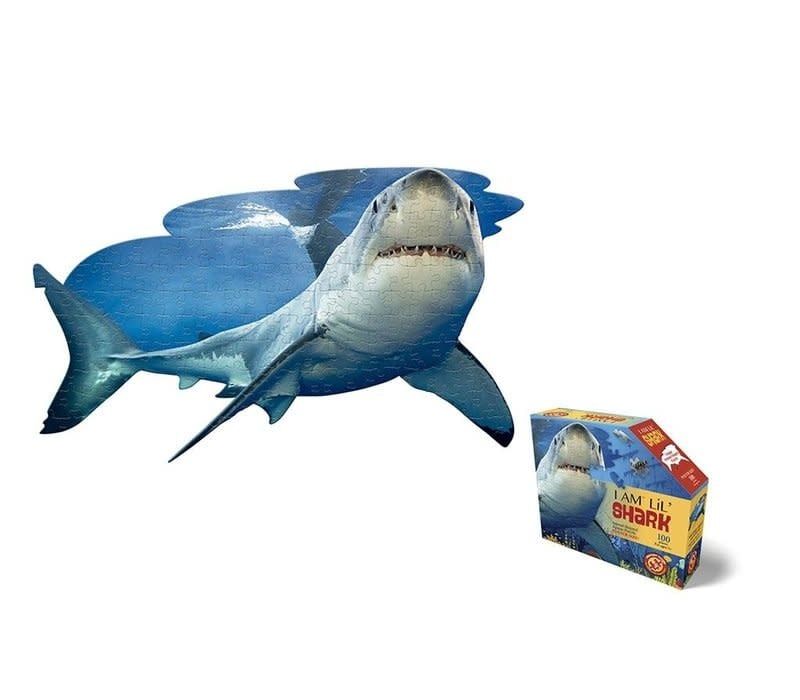 Madd Capp I AM Lil Shark 100 piece