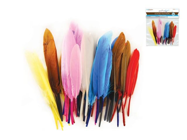 CraftMedley 4-6in Multi Mix Goose Feathers 50pc