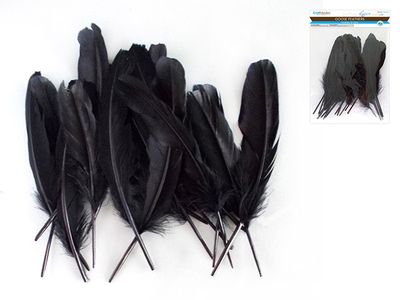 CraftMedley 8in Goose Feathers Black 12pc