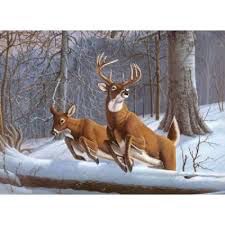 Royal &amp; Langnickel White Tails Paint By Number